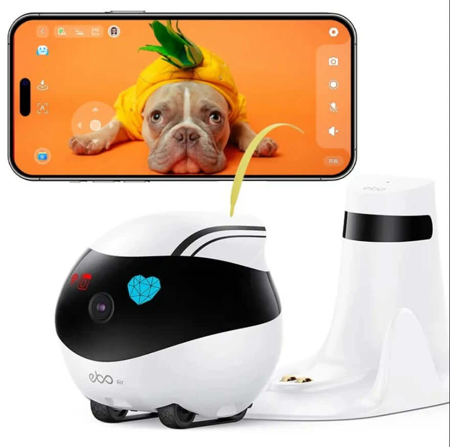 EBO Air Smart Robot with camera, monitoring a pet dog on a smartphone screen, showcasing pet companionship.