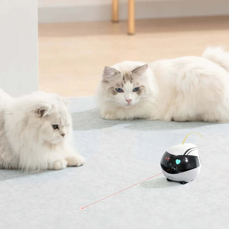 EBO Air Smart Robot with laser pointer captivating two fluffy cats in a cozy home setting.