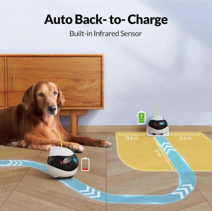 EBO Smart Robot with auto back-to-charge feature next to a dog, illustrating home monitoring capabilities.