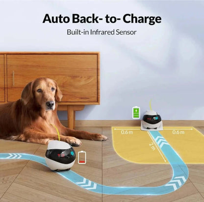 EBO Smart Robot with auto back-to-charge feature next to a dog, illustrating home monitoring capabilities.